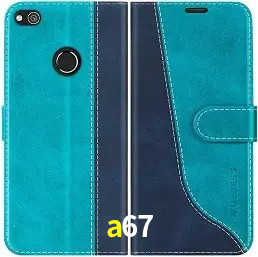 Sistemas de Segurança a67